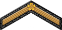 特別善行章 - Excellent Conduct Chevron
