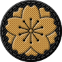 高等科特技 - Advanced Training Insignia