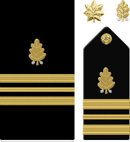 Leutenant Commander, Dental Corps